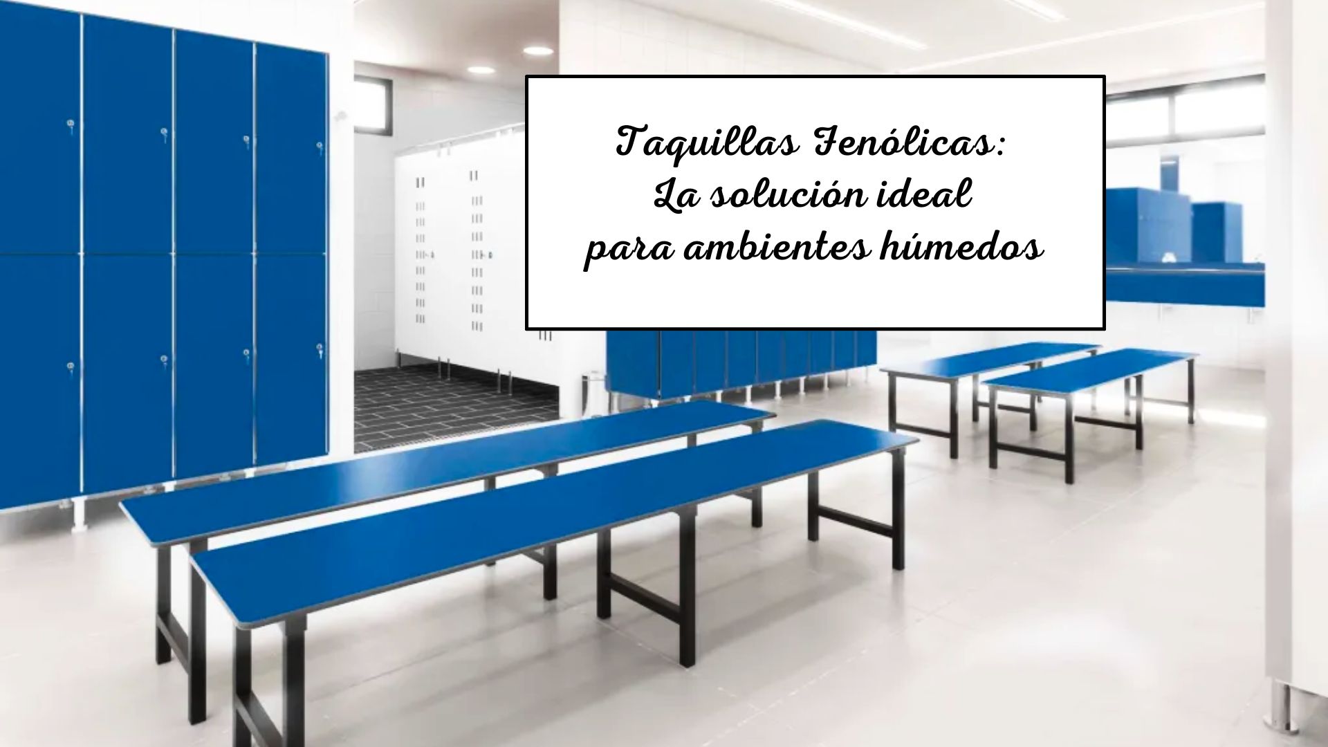 PORTADA BLOG – TAQUILLAS FENÓLICAS